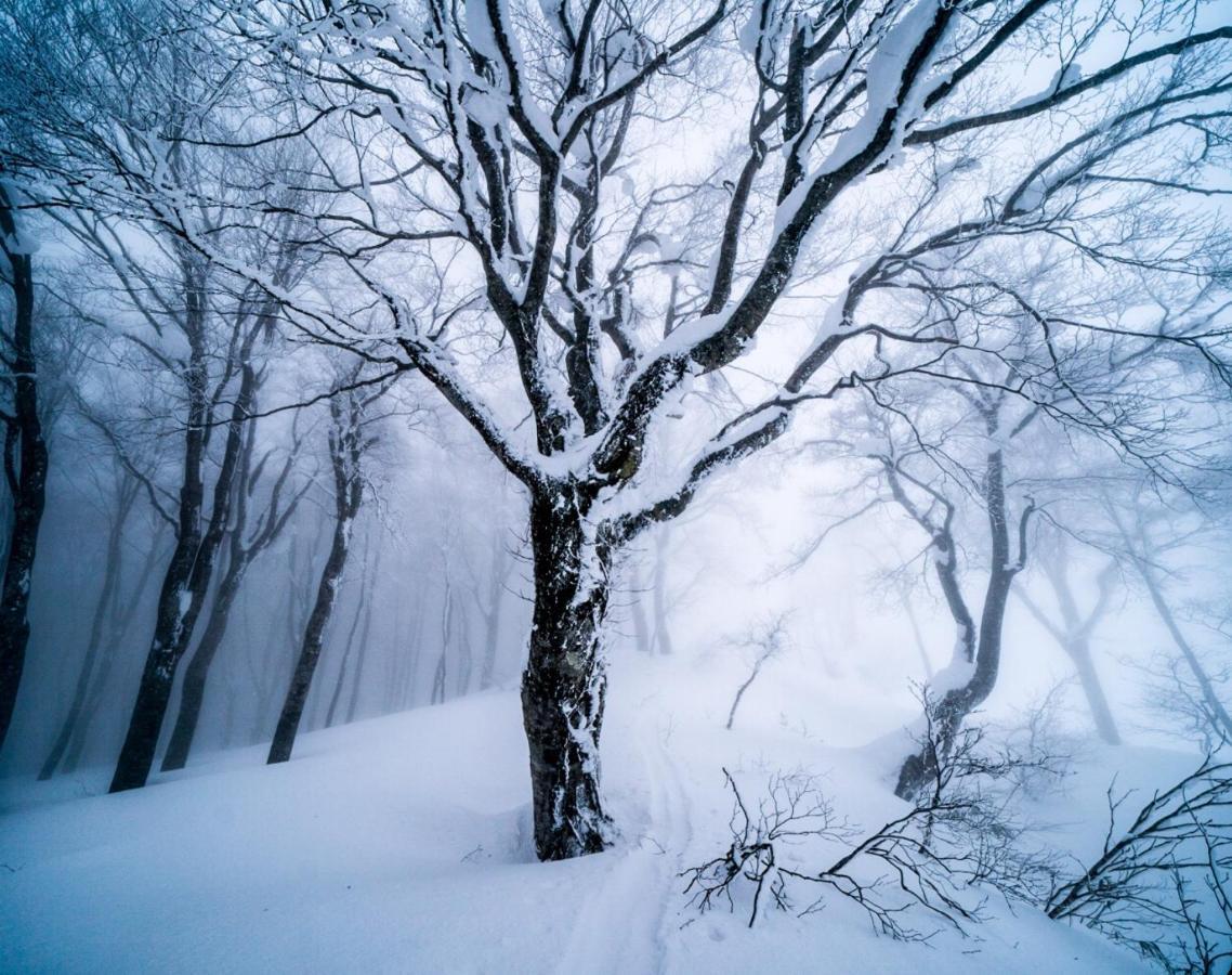 Bed and Breakfast The Joint Hakuba Exteriér fotografie
